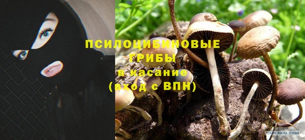 тгк Богородицк