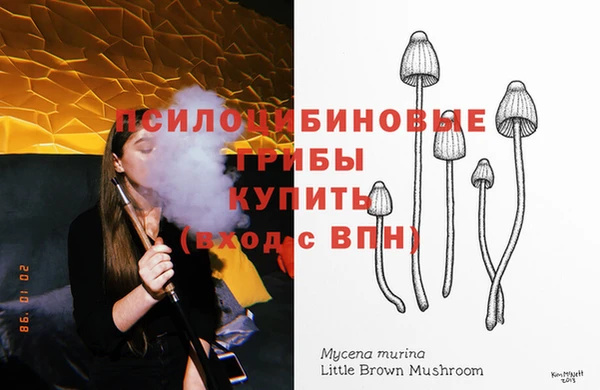 COCAINE Богородск
