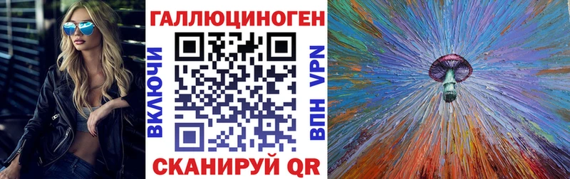 что такое   Отрадная  Галлюциногенные грибы Psilocybine cubensis 